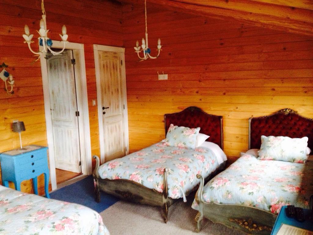 B&B De German Пукон Экстерьер фото